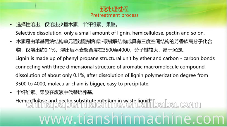 Straw Pulp Making Machinery